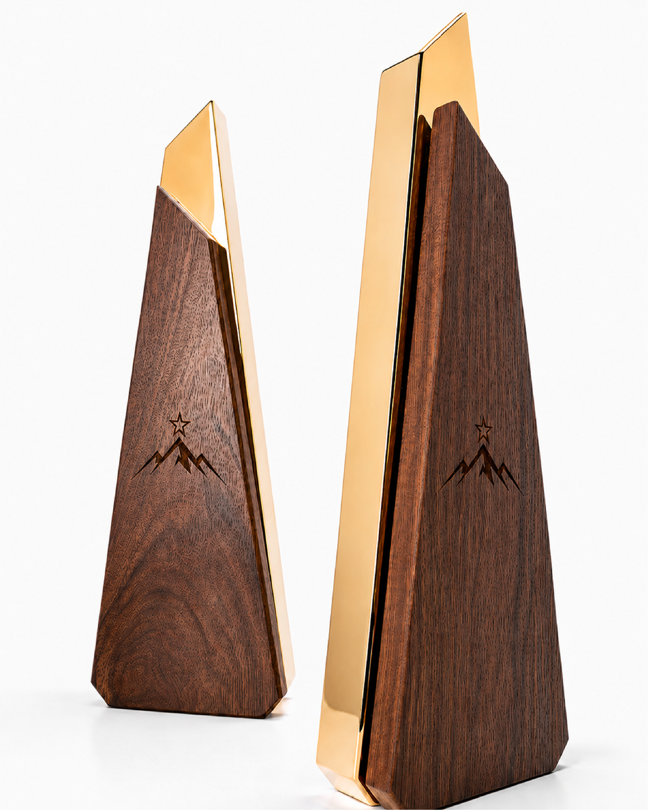 3D Sub-Surface Award